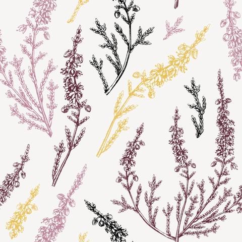 Hand sketched heather background. Vintage summer florals drawing seamless pattern. Traditional plant of Scotland. Botanical elements in engraved style. Heather flowers backdrop.